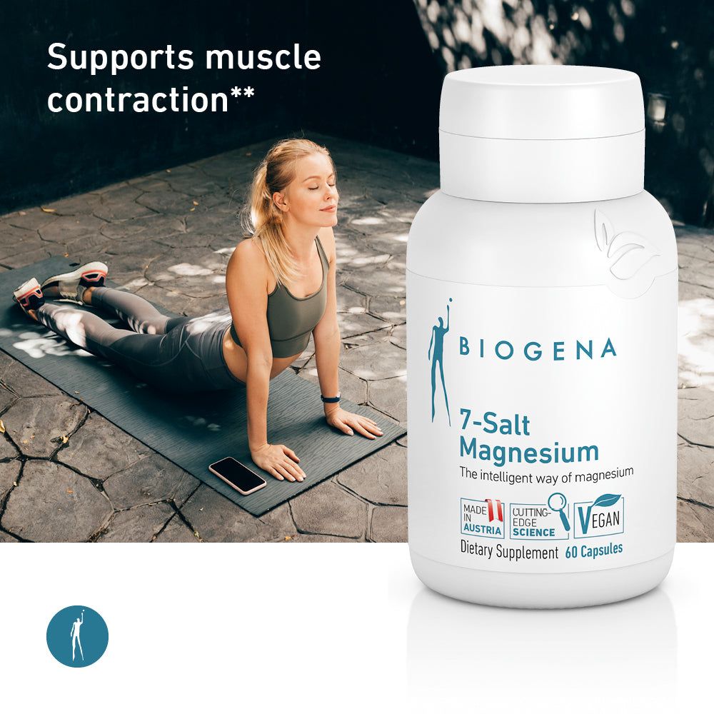 Supports muscle contraction